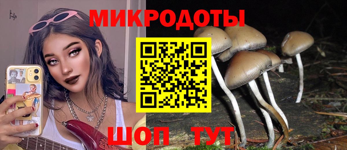 Галлюциногенные грибы мицелий  Вход с VPN  где продают наркотики  Куйбышев 